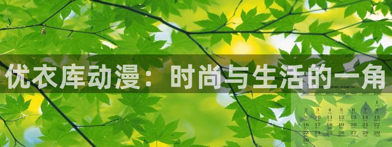 bl漫画肉多